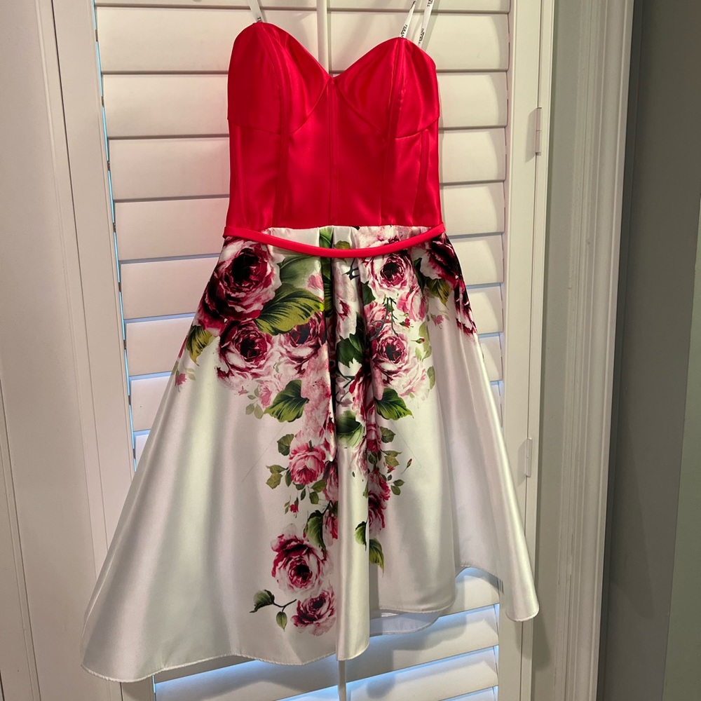 Never been worn Terani Couture mini corset gown size 4